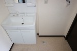 洗髪洗面化粧台、洗濯機置き場 洗髪洗面化粧台、洗濯機置き場